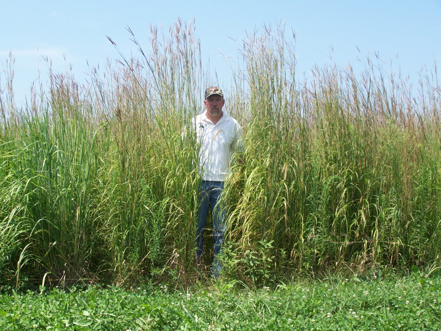 Crp Seed Mixes 