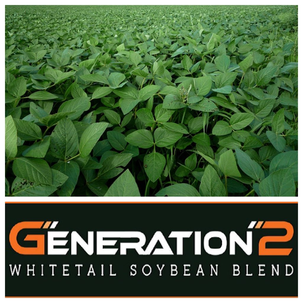 RWWP Generation 2 Whitetail Soybean Food Plot Seed Food