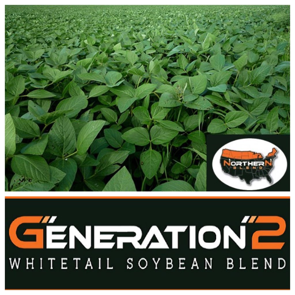 RWWP Northern Soybean Blend Food Plot Seed Food Plots Deer Minerals